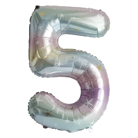 Aluminum Balloon Number 5