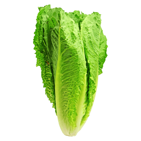 Lettuce Romaine 1 pc