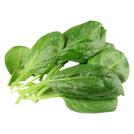 Swiss Chard Bunch