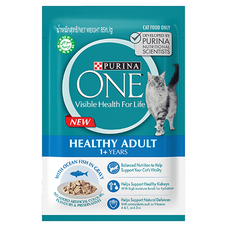 ONE ADULT Ocean Fish Pouch 70g