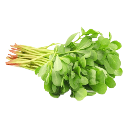 Rejla Bunch