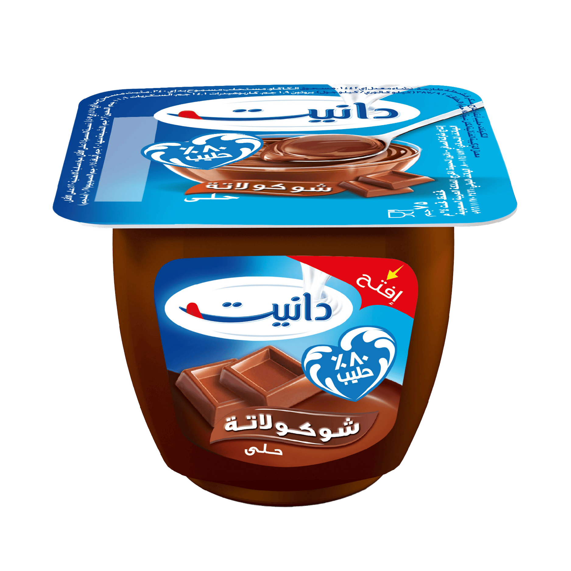 Danette Chocolate Dessert 75 gm