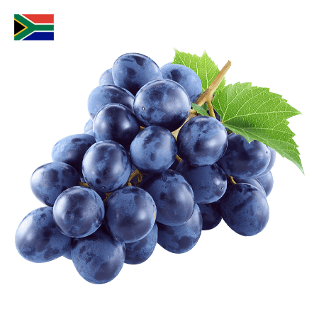Black Grapes Punnet