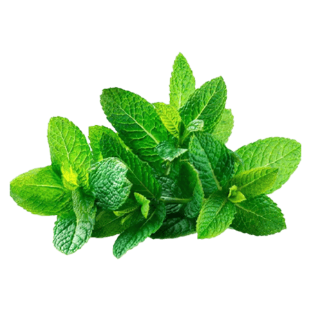 Mint Bunch