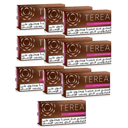 TEREA BRONZE X10