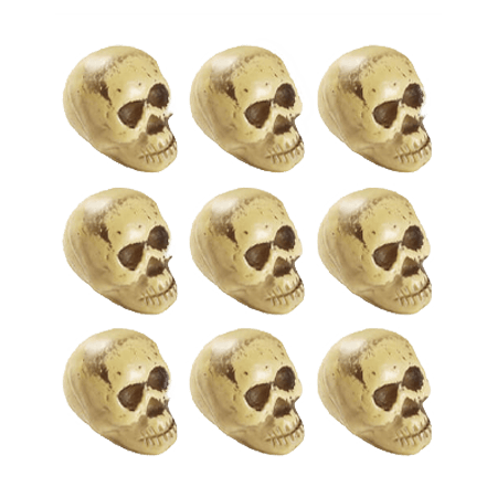 9 Small Skulls