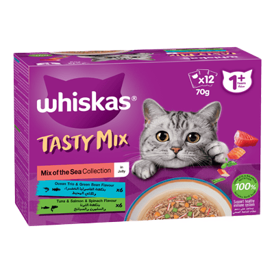 Tasty Mix Mix of Sea Collection in Jelly 12pk
