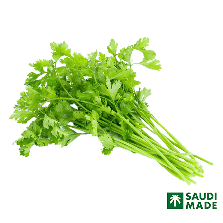 Coriander Bunch
