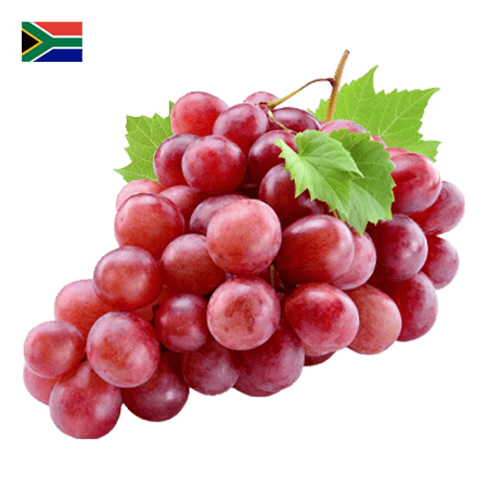 Red Grapes Punnet