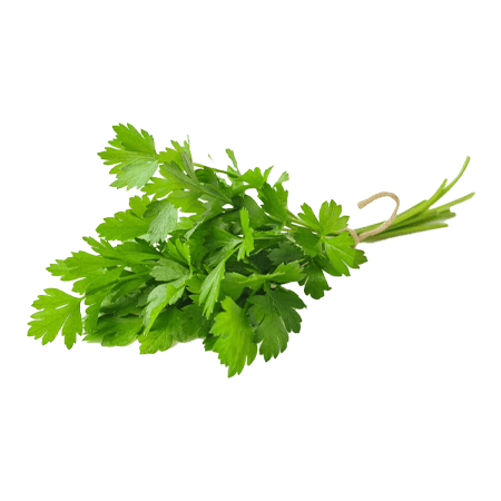 Parsley Bunch