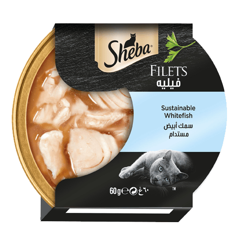 Sheba Cat Food Sustainable White Fish Filets 60g Dome