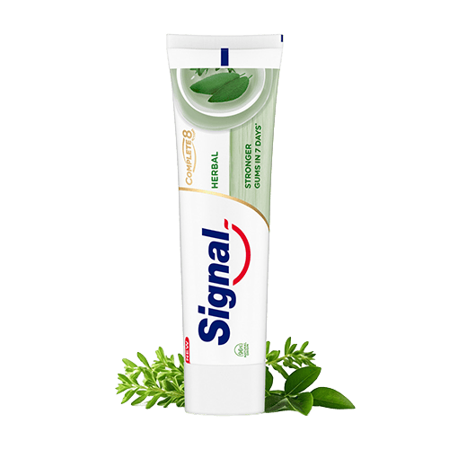 Signal Complete 8 Toothpaste Herbal Gum 100 ml