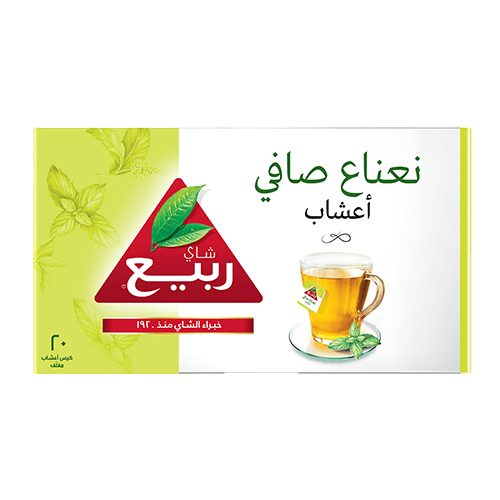 Rabea Pure Mint 20 Bag