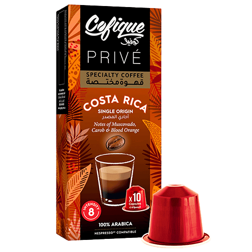 Cofique Capsule Costa Rica 10 Capsules