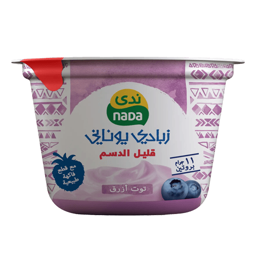 Nada Greek Yoghurt Blueberry Flavor Low Fat 160 gm