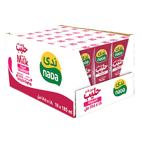 Nada Strawberry Milk 18 pcs 185 ml