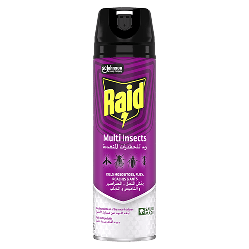 Raid Multi-insect Killer 300 ml