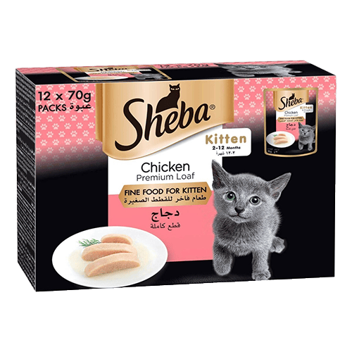 SHEBA Kitten Chicken 70g*12pk
