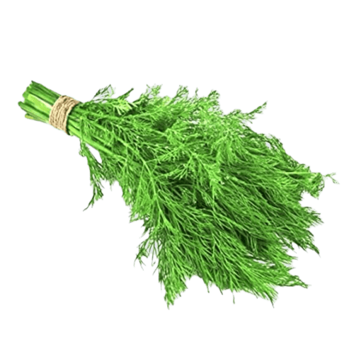 Dill Bunch