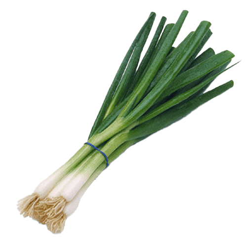 Onion Green Bunch