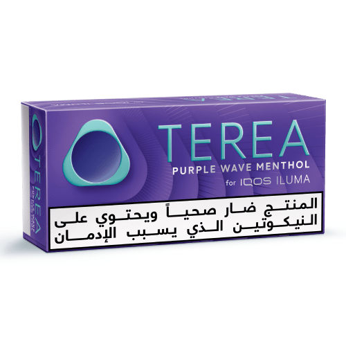 TEREA PURPLE WAVE Menthol x 10 packs