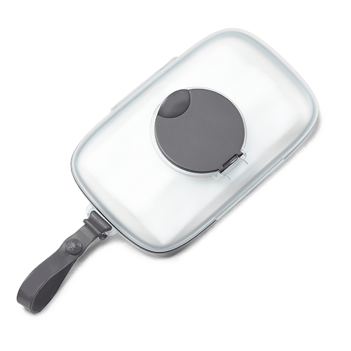Skip Hop Grab & Go Wipes Case Grey