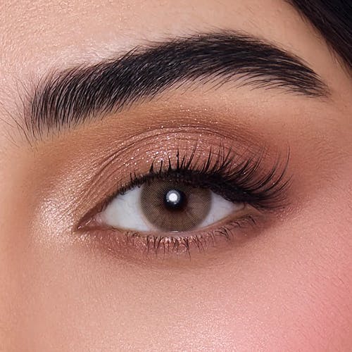 Anesthesia Lenses L.A.Mocha