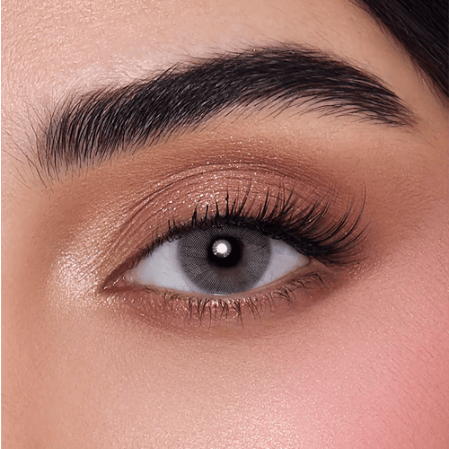 Anesthesia Lenses Addict Gray