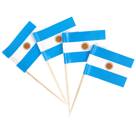 Argentina Flag Food Picks 25 Pcs